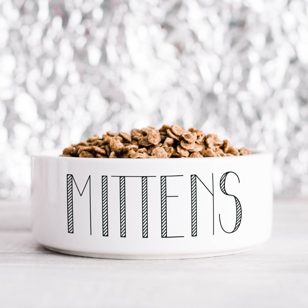 Minimalist Designer Pet Bowl
