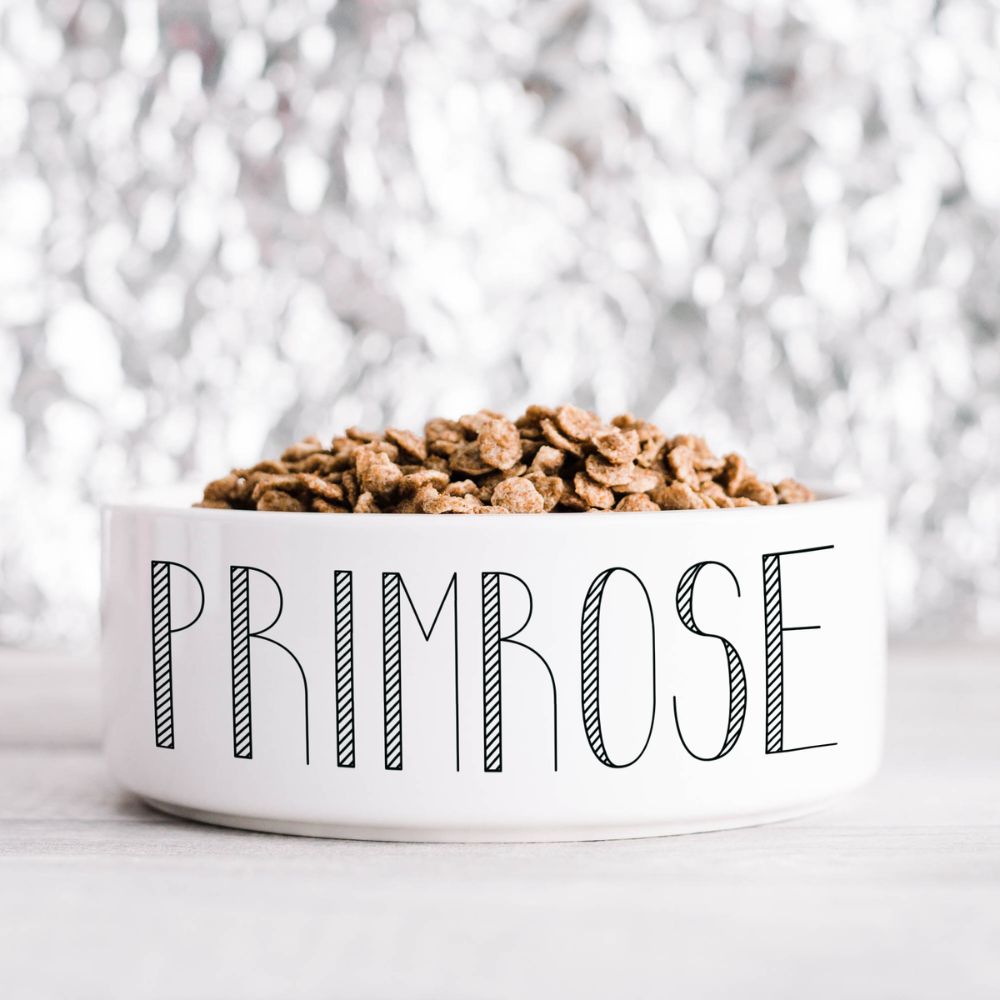 Minimalist Designer Pet Bowl