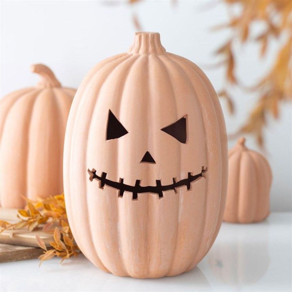 The Pumpkin Patch - ‘Pick your own’