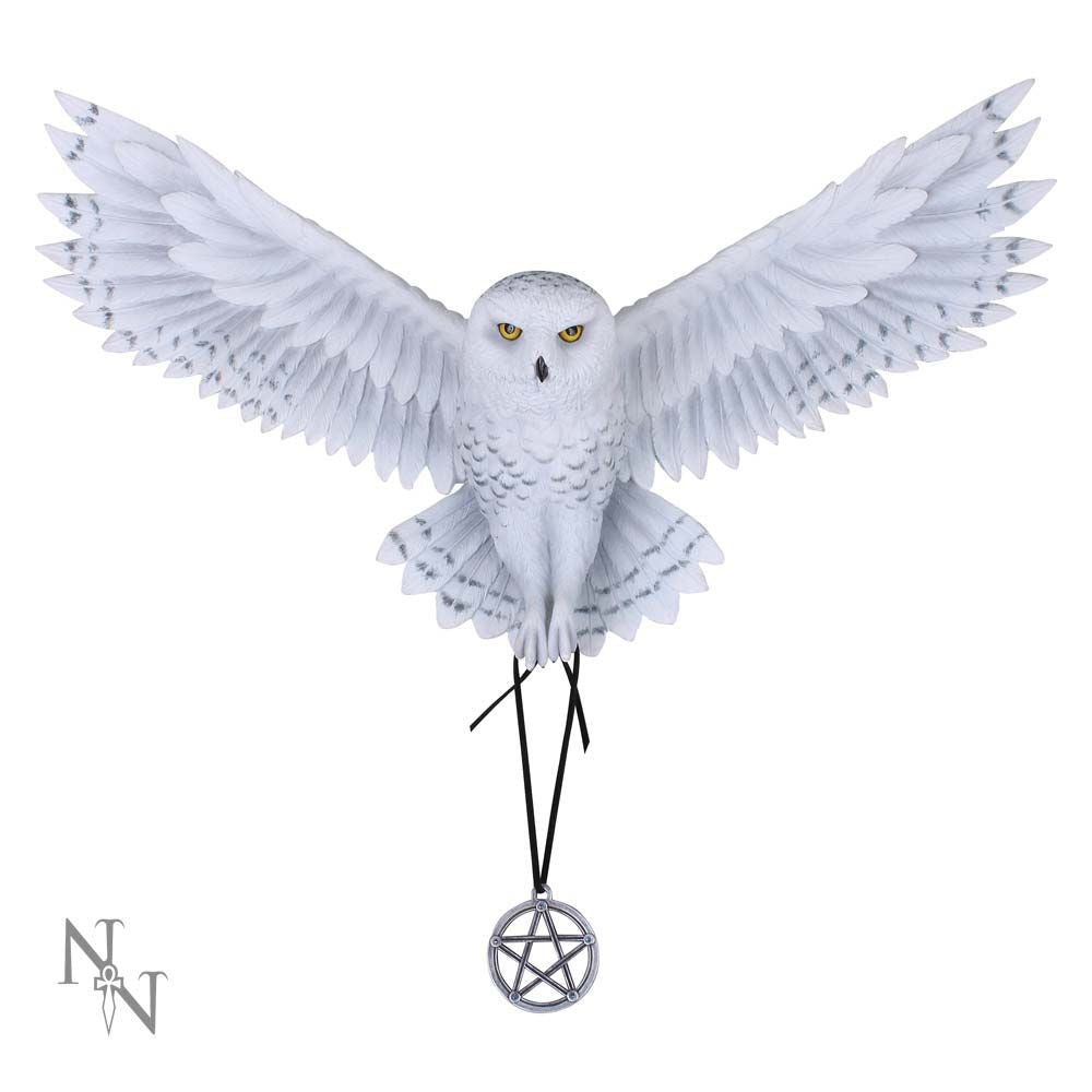 Awaken your Magic Wall Plaque –Anne Stokes