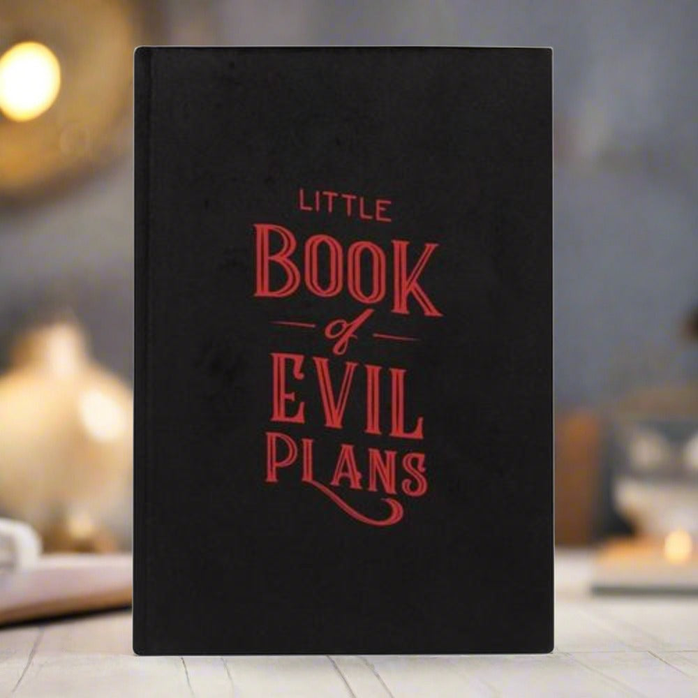 A5 Notebook - Little Book Of Evil Plans