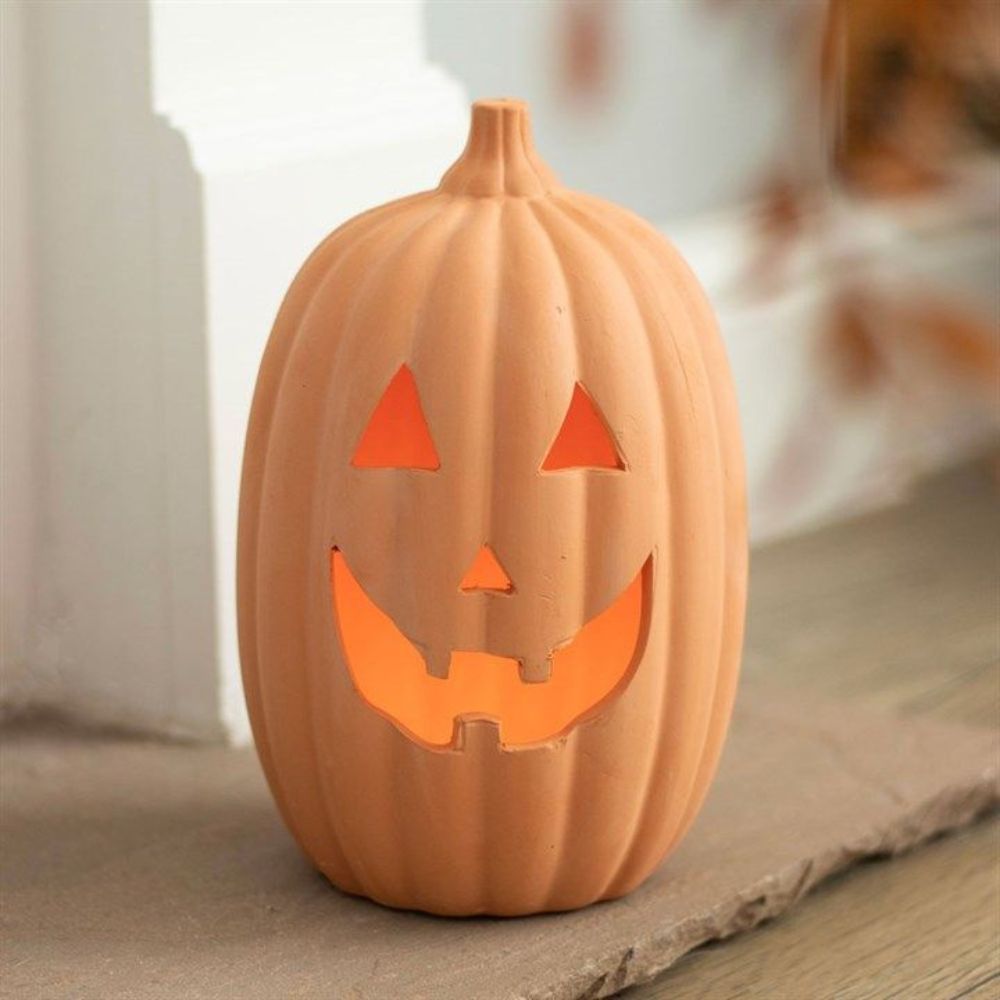 The Pumpkin Patch - ‘Pick your own’