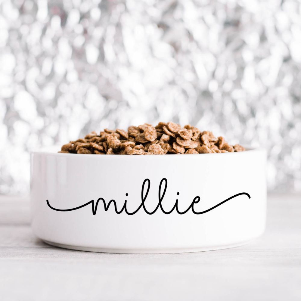 Personalised 'Fancy Name' Pet Bowl