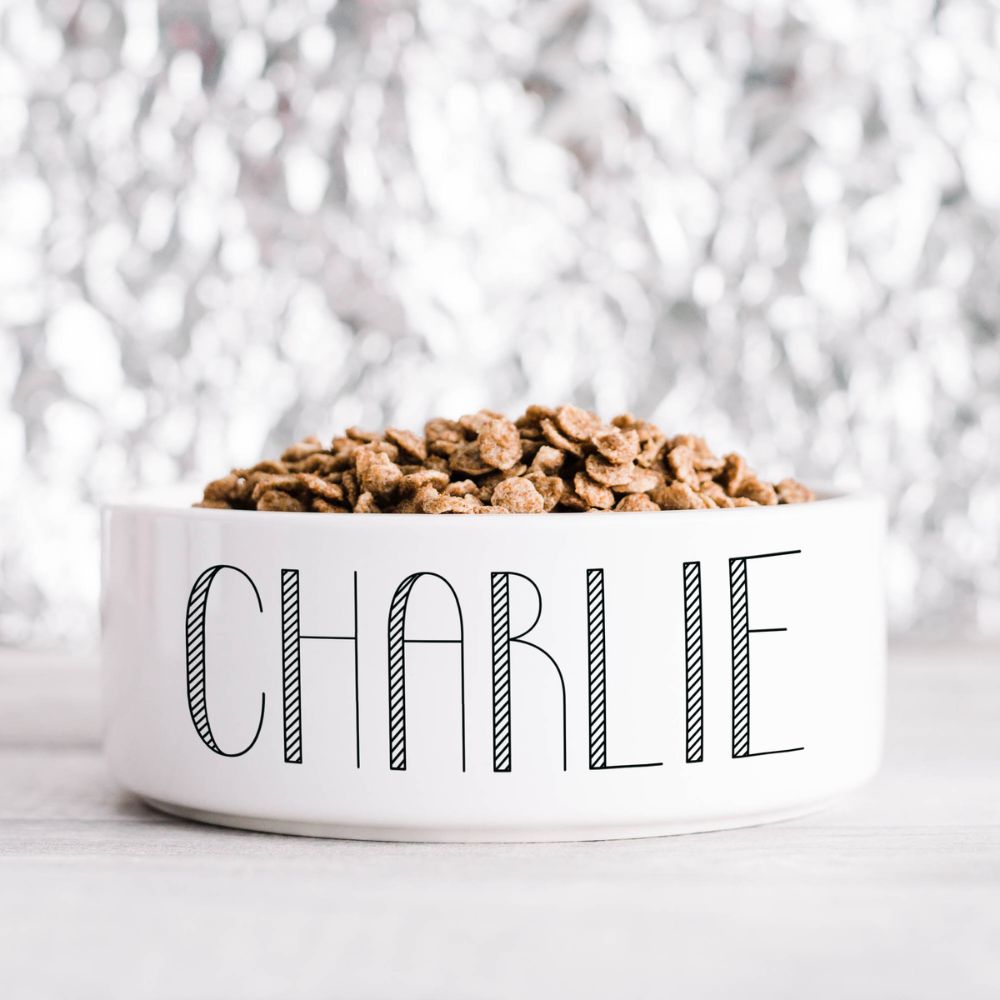Minimalist Designer Pet Bowl