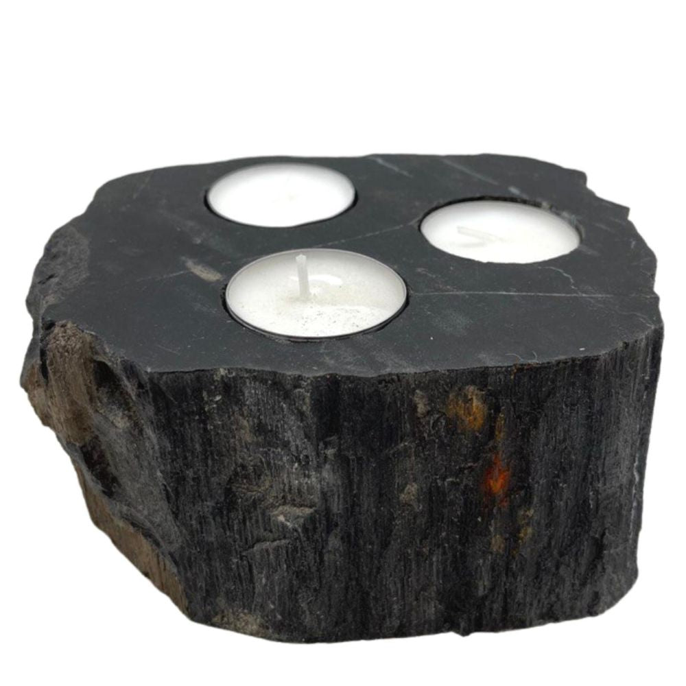 Petrified Wood Candle Holder