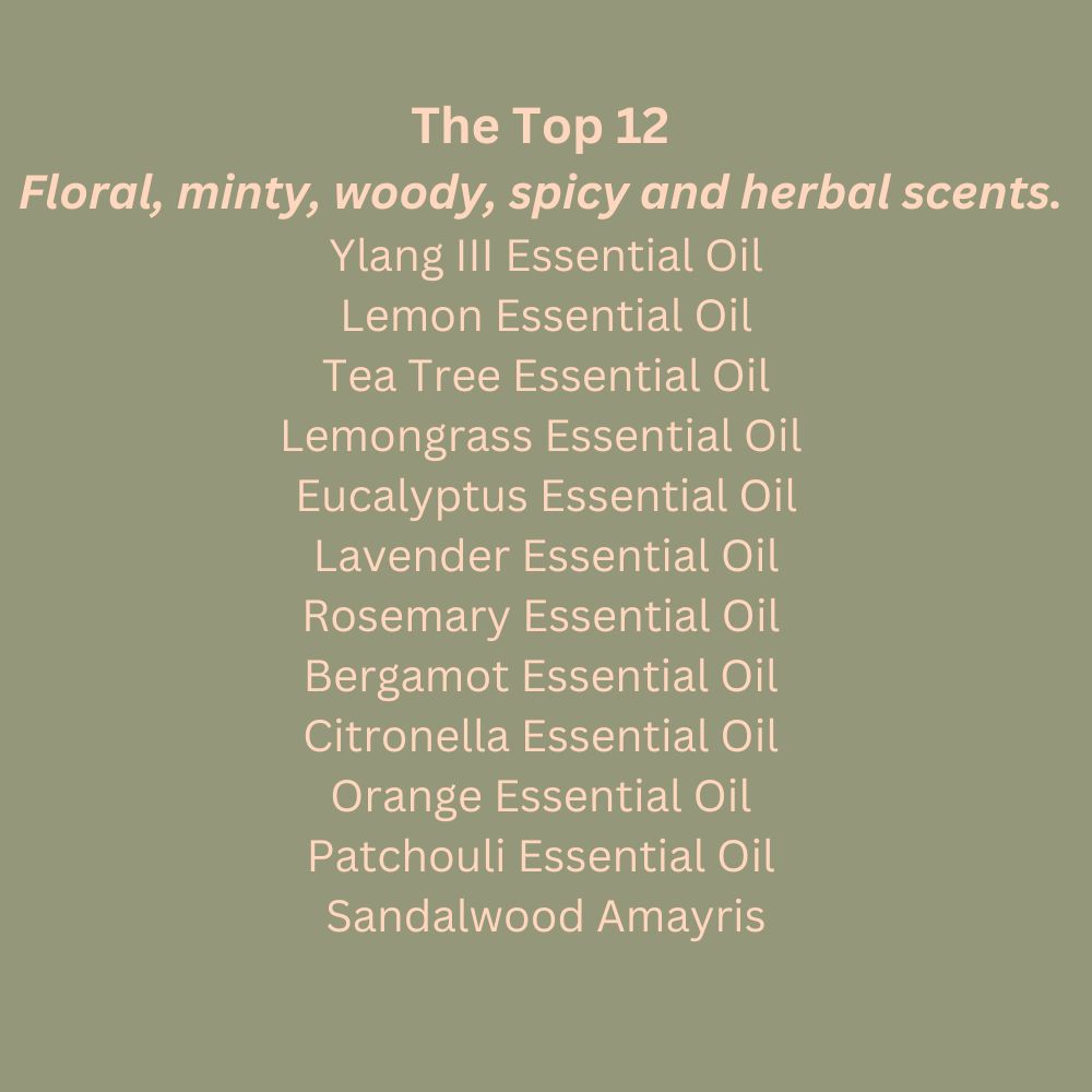 Aromatherapy Essential Oil Gift Set