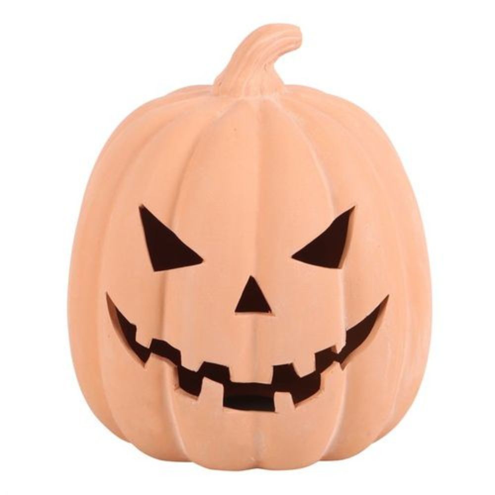 The Pumpkin Patch - ‘Pick your own’