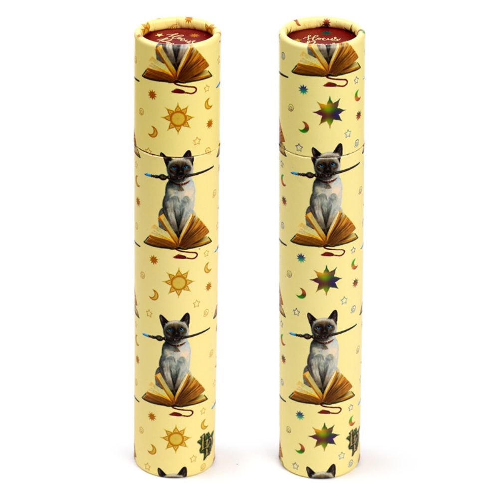 Coloured pencils - Lisa Parker Hocus Pocus