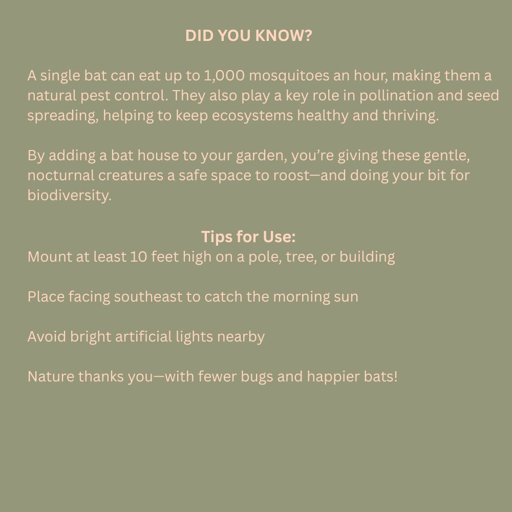 Text on a green background about bats and their benefits, with tips for using bat houses.