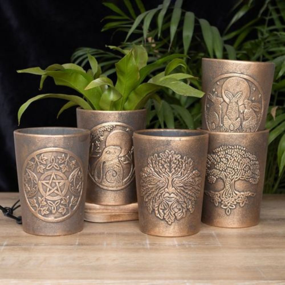 Terracotta Plant pot – Lisa Parker