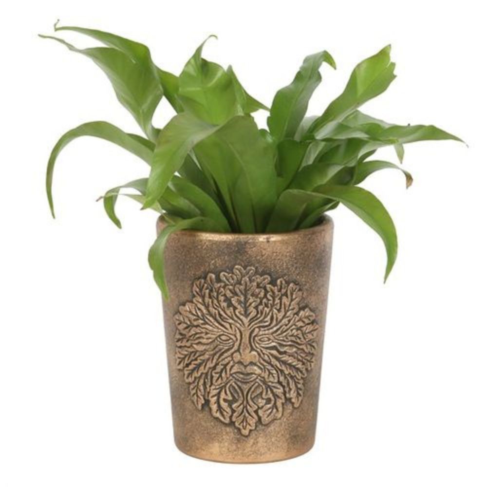 Terracotta Plant pot – Lisa Parker