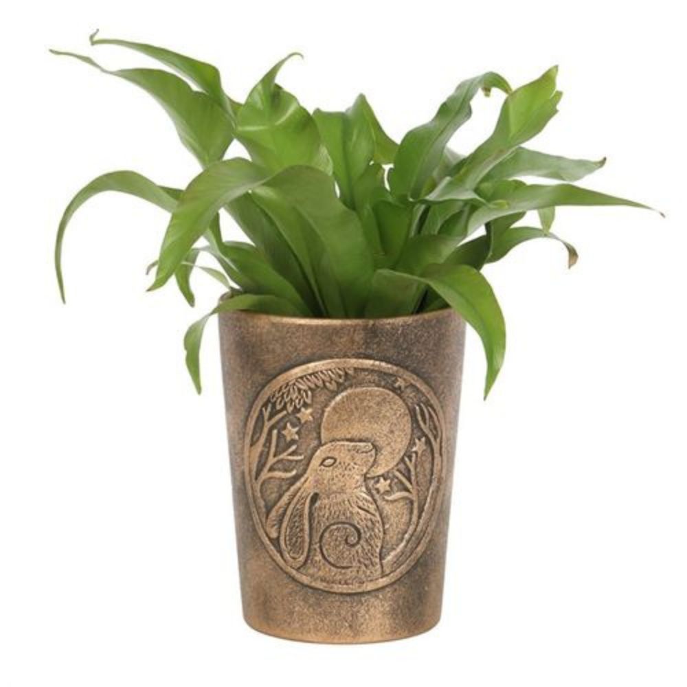 Terracotta Plant pot – Lisa Parker