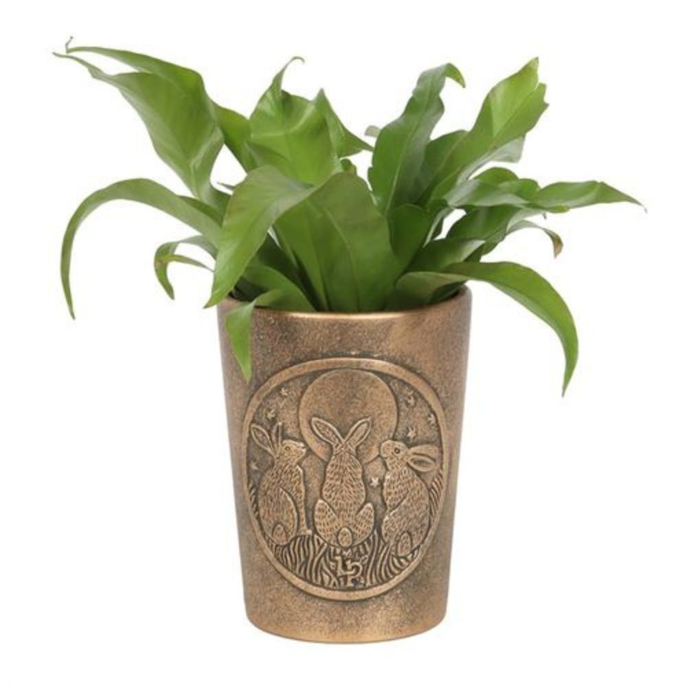 Terracotta Plant pot – Lisa Parker