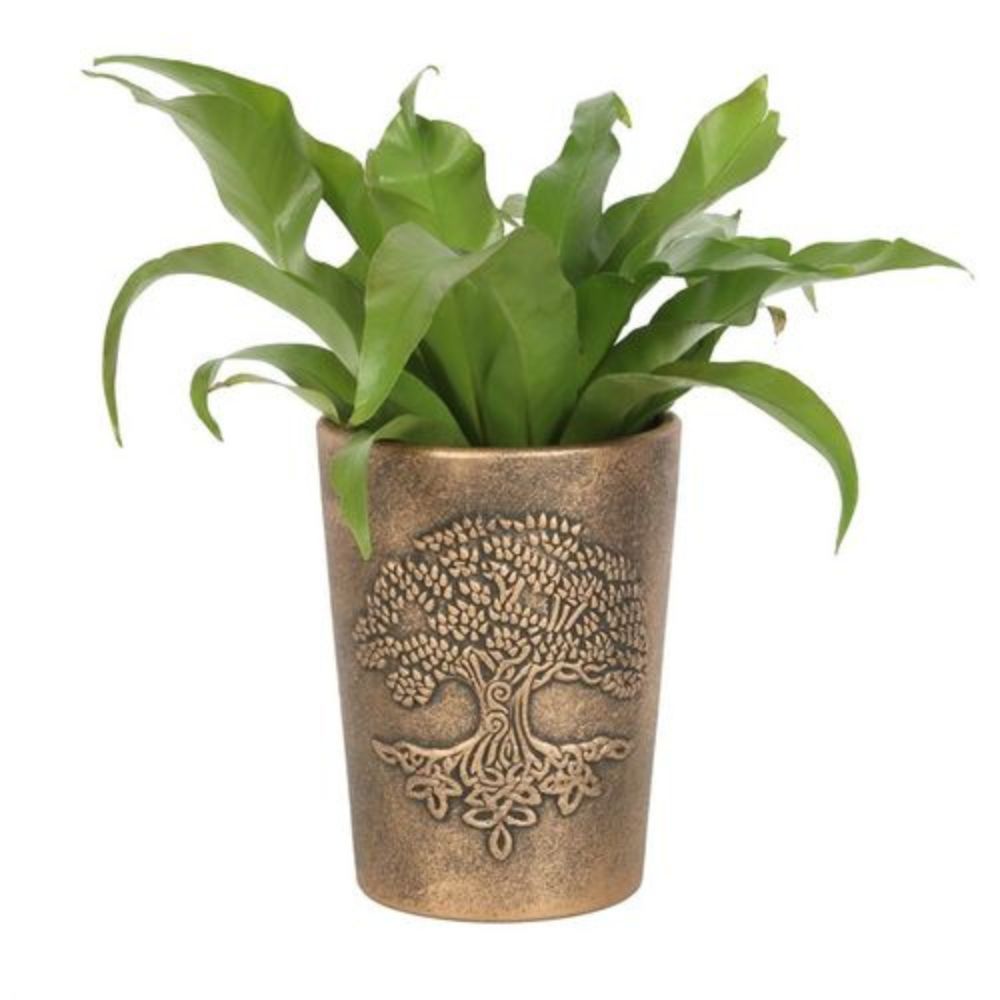 Terracotta Plant pot – Lisa Parker