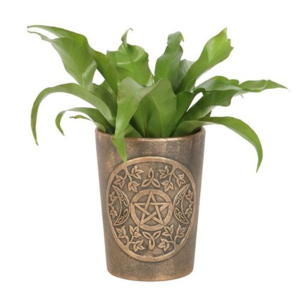 Terracotta Plant pot – Lisa Parker
