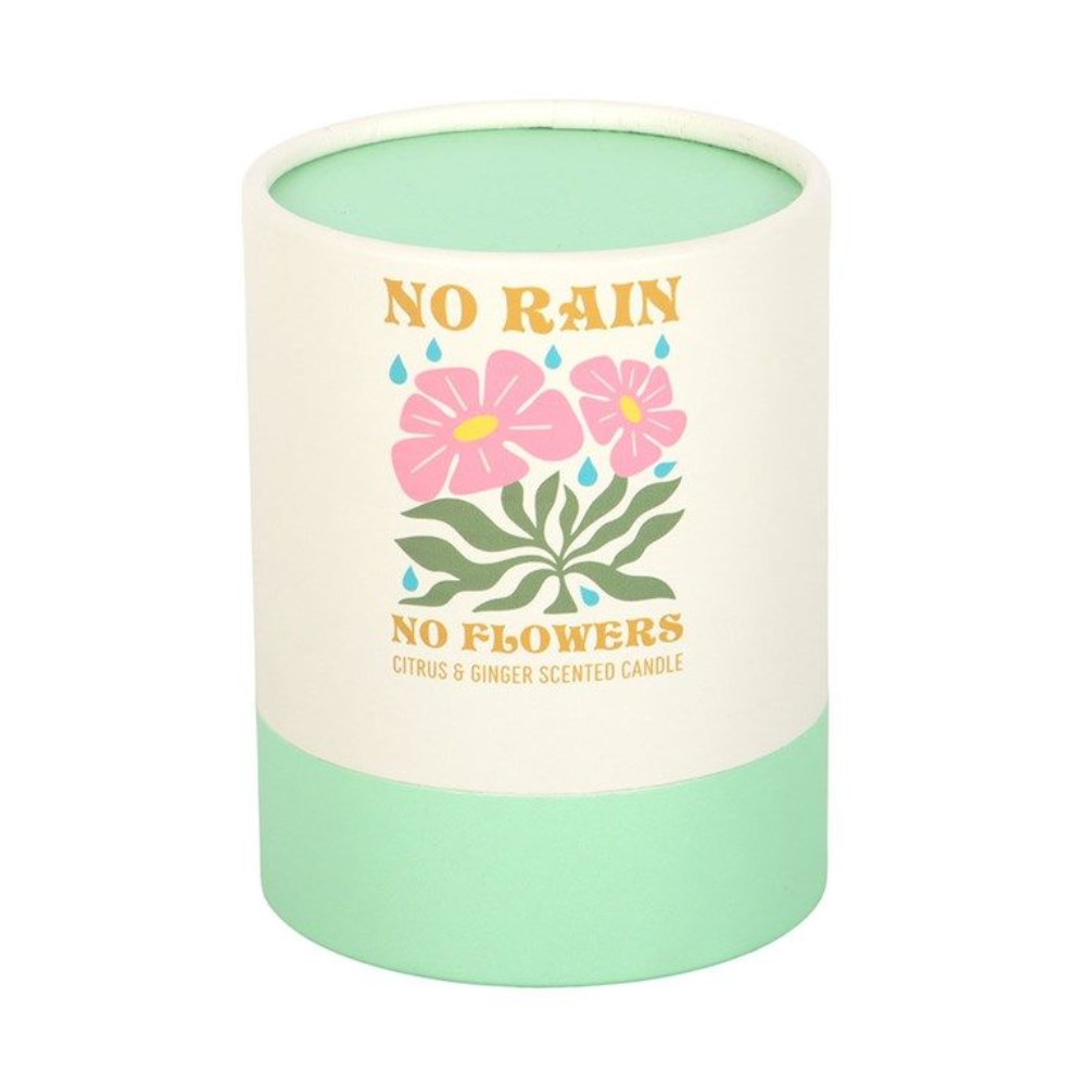 No Rain, No Flowers Citrus & Ginger Candle
