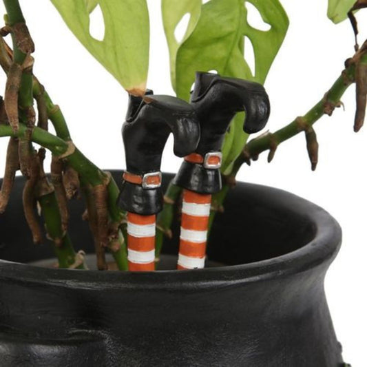 Plant Pot Ornament - Witch Legs