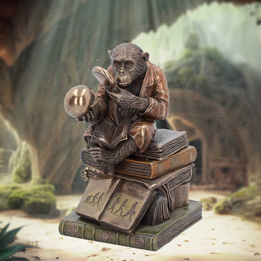 Darwinism of Evolutionary Theory Figurine