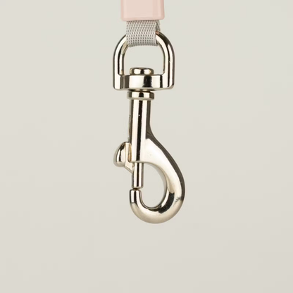 Mini Mango Retractable Dog Lead