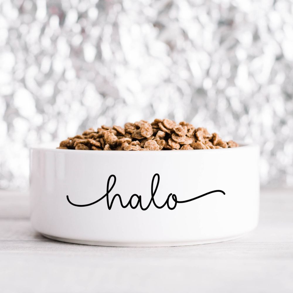 Personalised 'Fancy Name' Pet Bowl