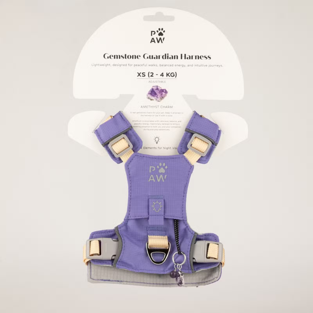 Dog Step-in Guardian Harness with genuine Amethyst charm