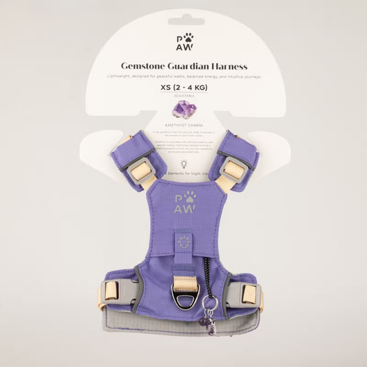 Dog Step-in Guardian Harness with genuine Amethyst charm