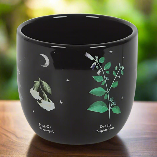 Poisonous Plants Plant Pot