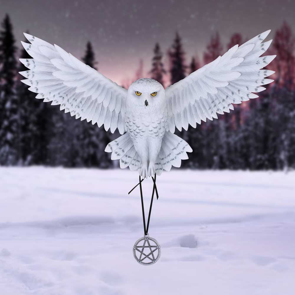 Awaken your Magic Wall Plaque –Anne Stokes