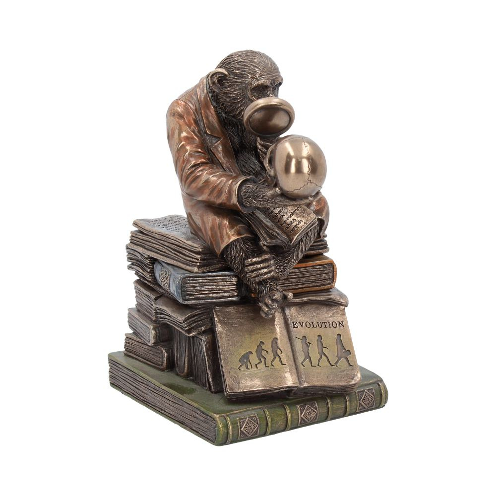 Darwinism of Evolutionary Theory Figurine