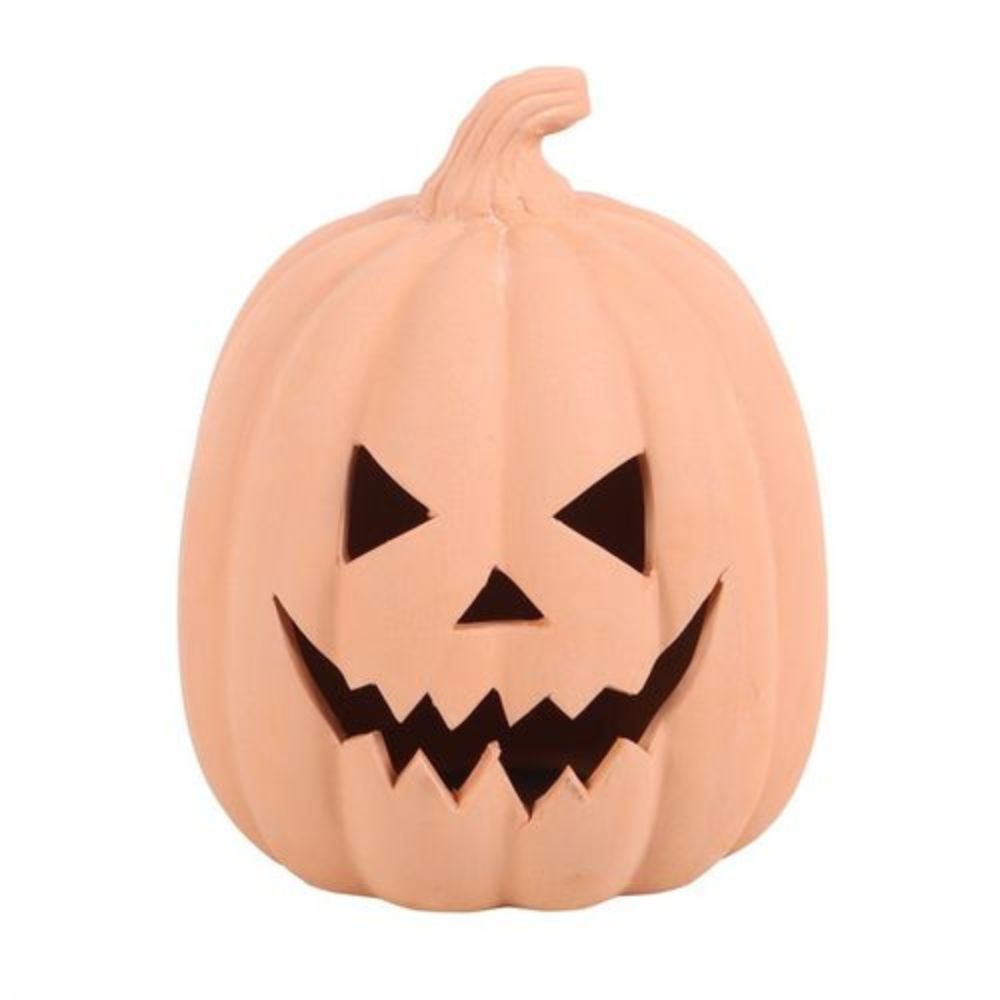 The Pumpkin Patch - ‘Pick your own’