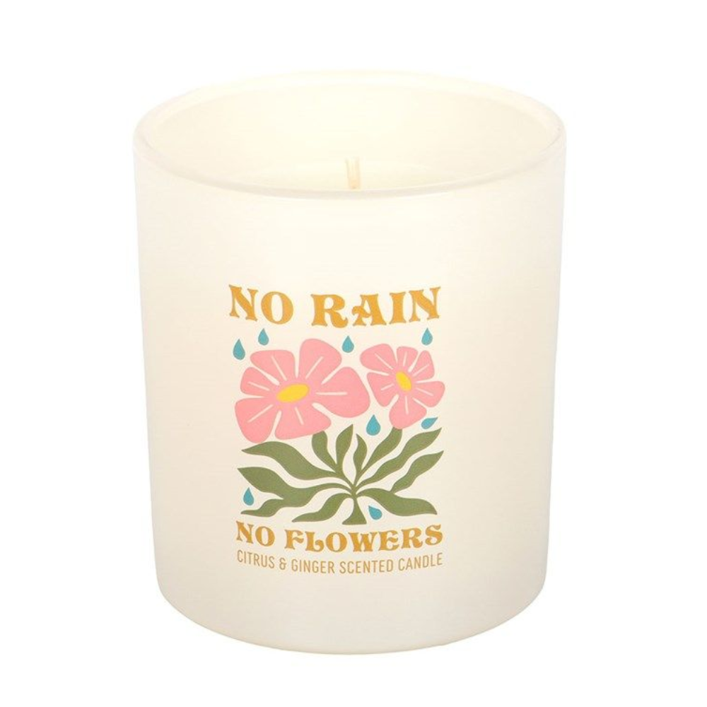 No Rain, No Flowers Citrus & Ginger Candle