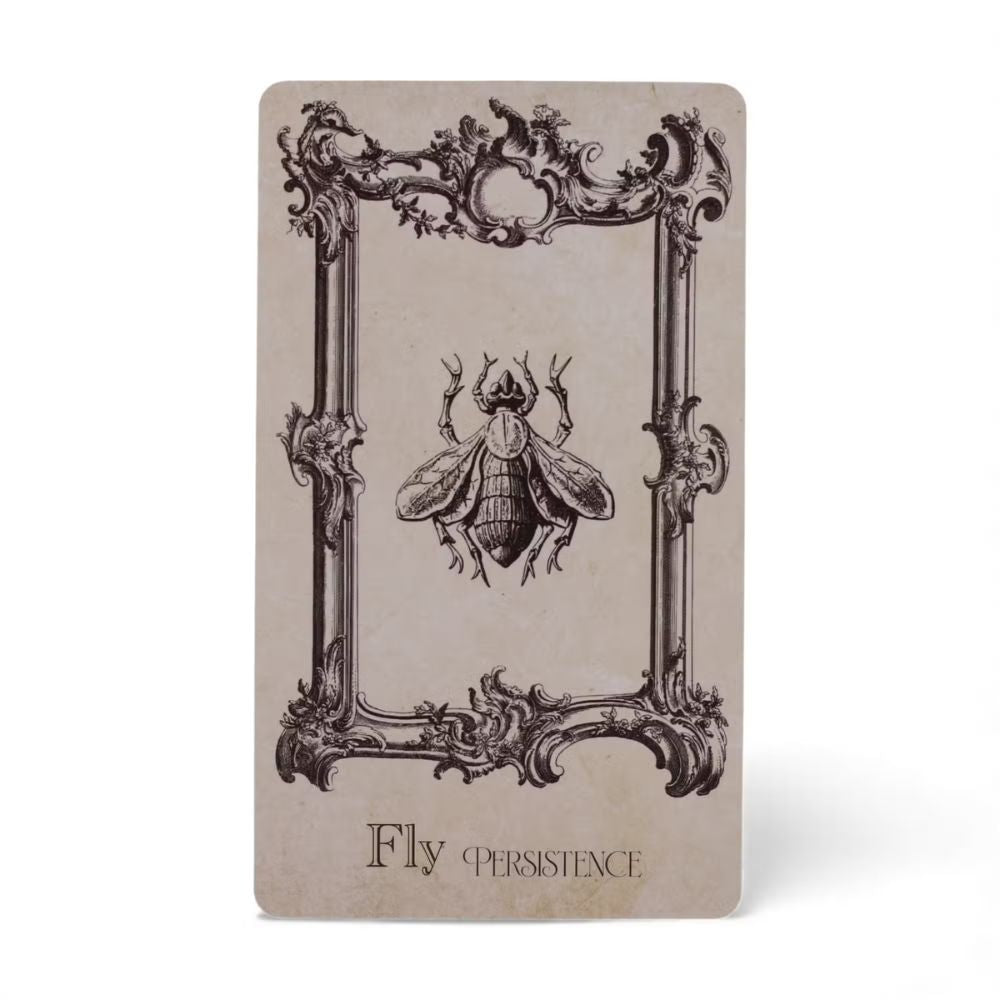 The Spellbook Oracle Cards- Witchcraft Deck