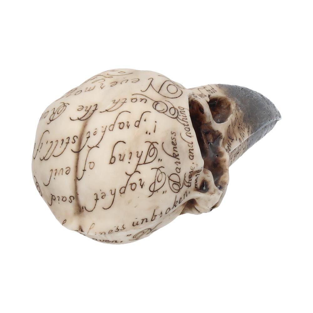 Edgar's Raven Skull Figurine
