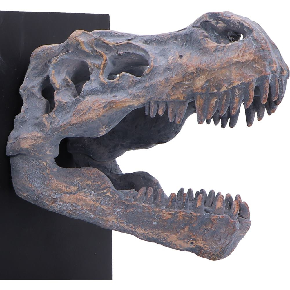Tyrannosaurus Rex Skull Bookends