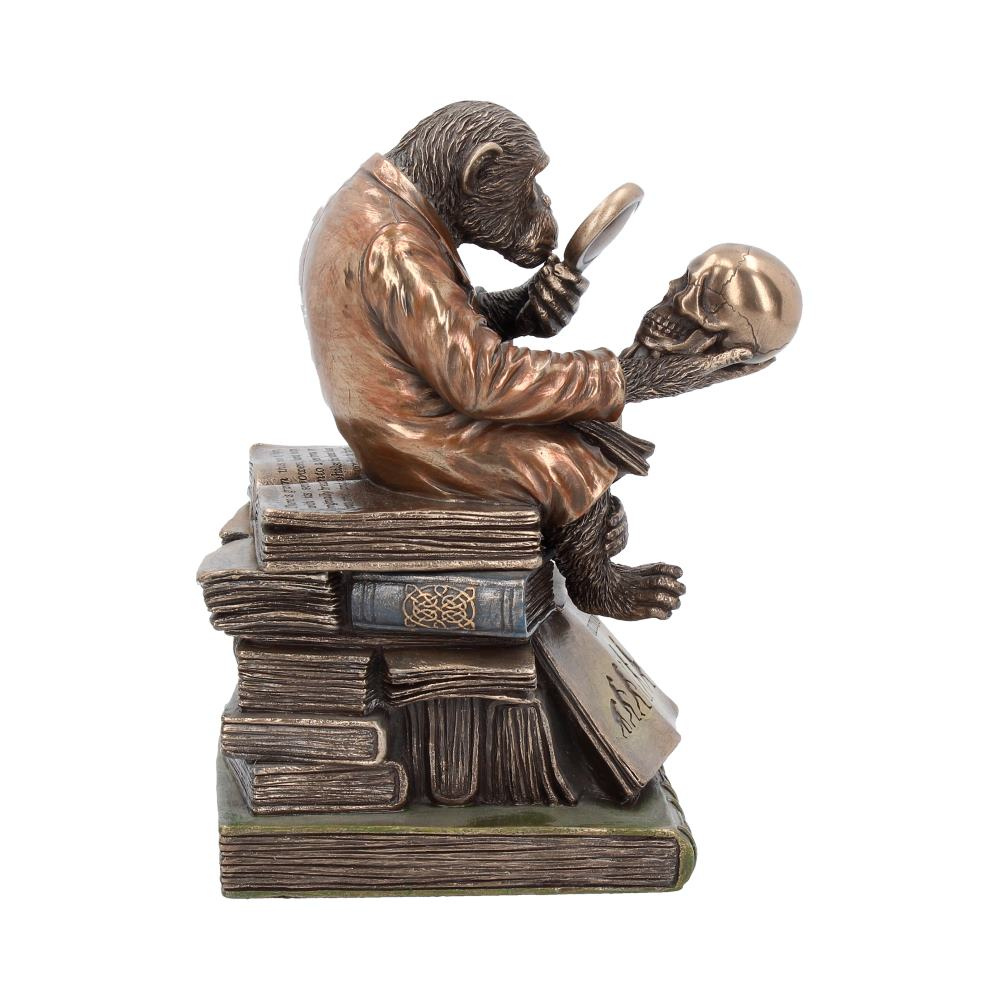 Darwinism of Evolutionary Theory Figurine