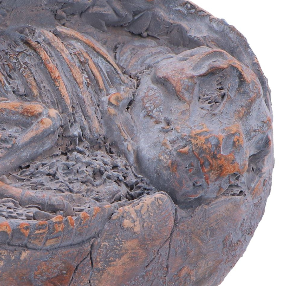 Tyrannosaurus Rex Egg Figurine