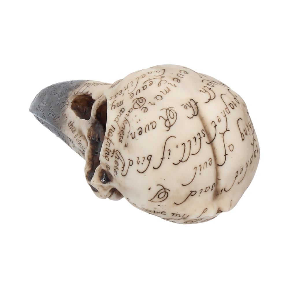 Edgar's Raven Skull Figurine
