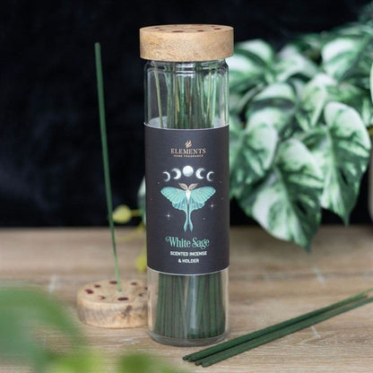 Dark Forest Incense Sticks