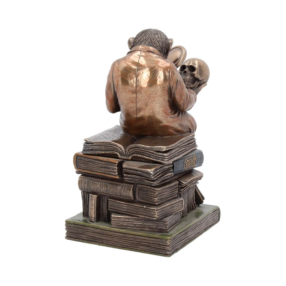 Darwinism of Evolutionary Theory Figurine
