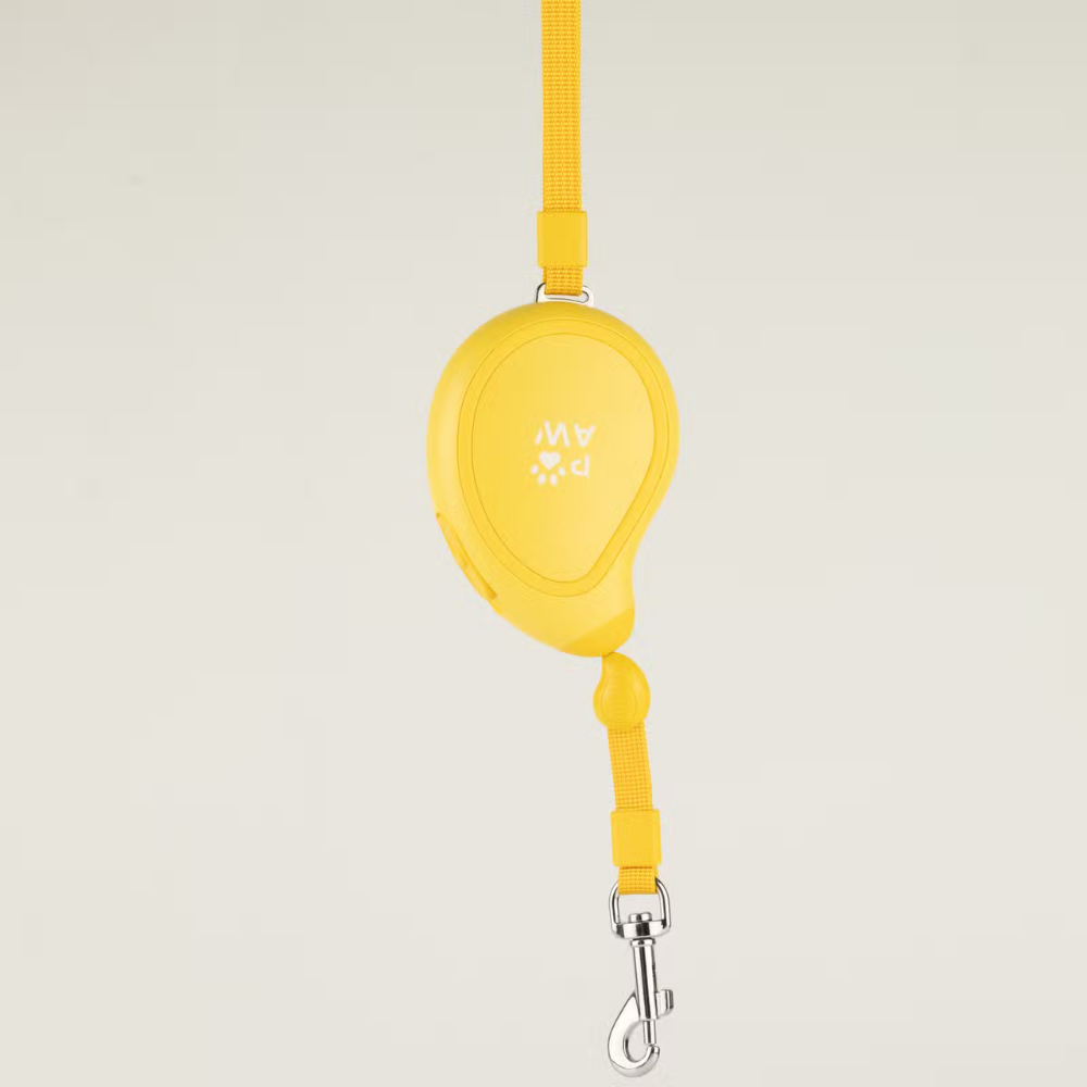Mini Mango Retractable Dog Lead