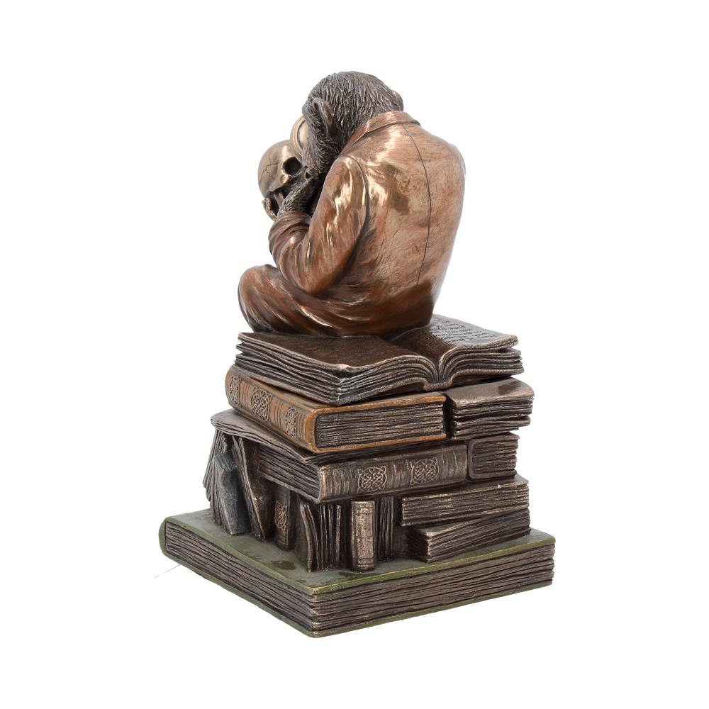 Darwinism of Evolutionary Theory Figurine