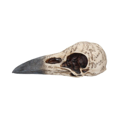 Edgar's Raven Skull Figurine