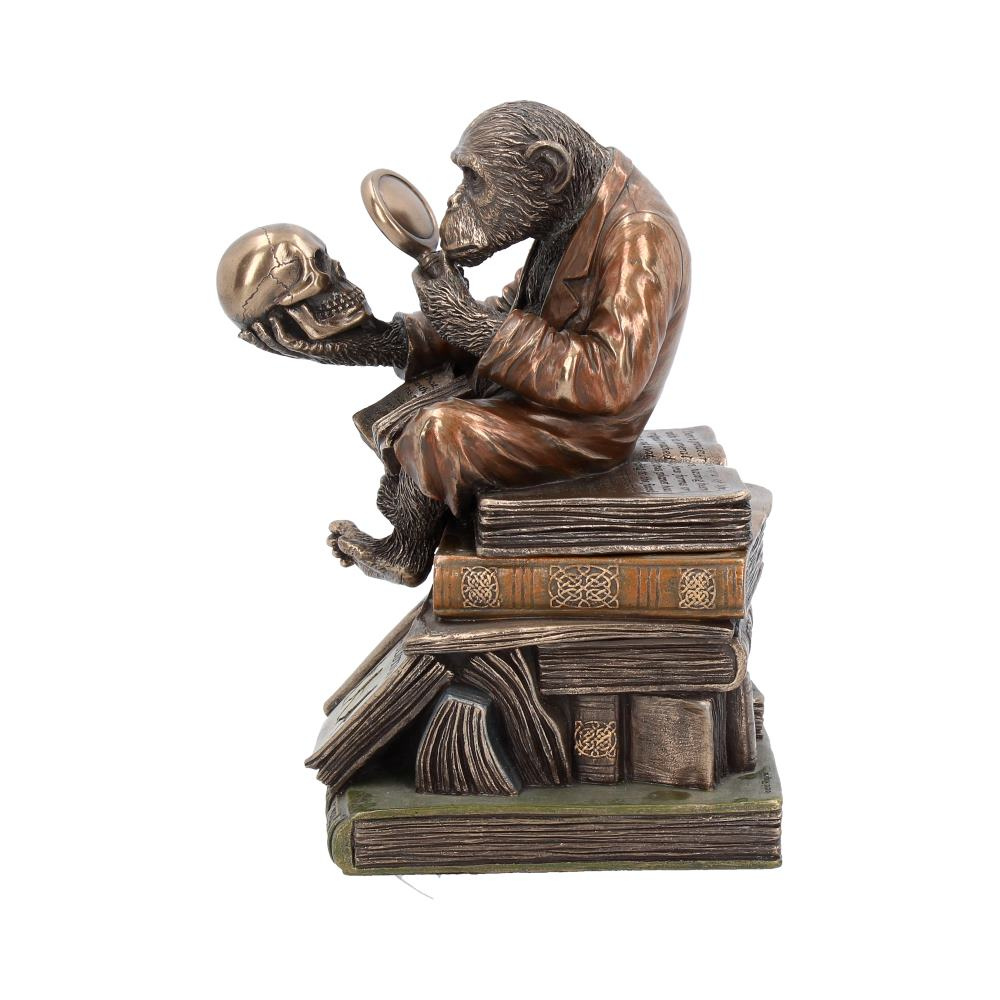 Darwinism of Evolutionary Theory Figurine