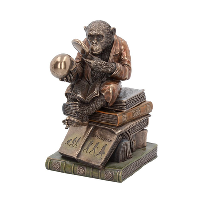 Darwinism of Evolutionary Theory Figurine