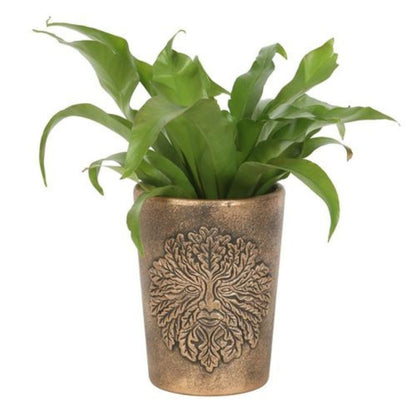 Terracotta Plant pot – Lisa Parker
