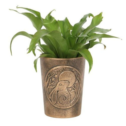 Terracotta Plant pot – Lisa Parker